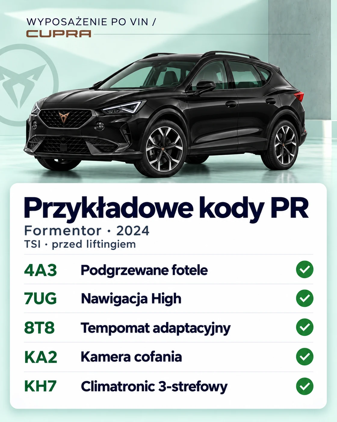 wyposażenie Cupra po VIN